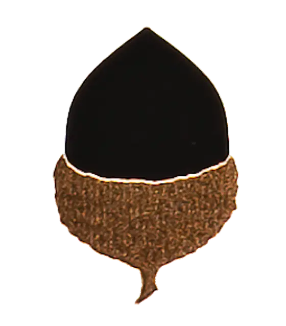 Black fez hat with a gold band, commonly associated with traditional Middle Eastern and North African attire, symbolizing cultural heritage.
